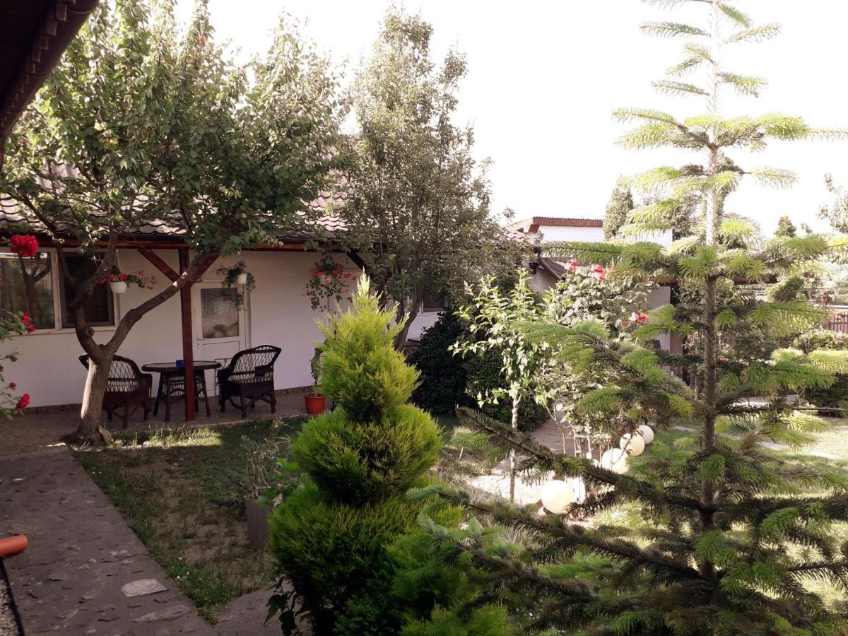 Maison d'hôtes Casa Chitu à Murighiol Extérieur photo