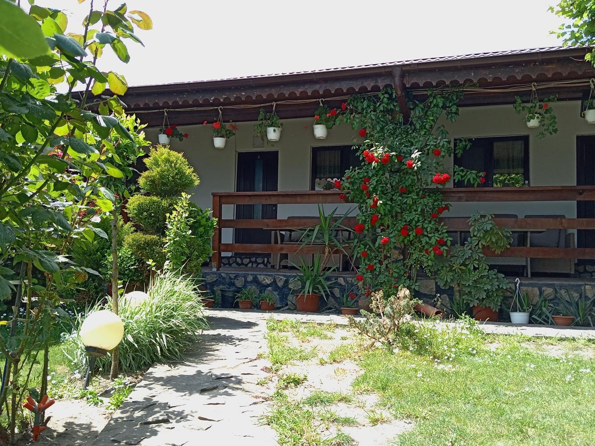 Maison d'hôtes Casa Chitu à Murighiol Extérieur photo